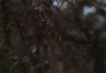 Schwere Unwetter Österreich Steiermark: Was Sie Jetzt Wissen Müssen