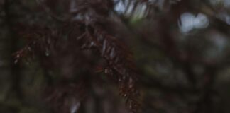 Schwere Unwetter Österreich Steiermark: Was Sie Jetzt Wissen Müssen