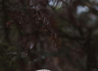 Schwere Unwetter Österreich Steiermark: Was Sie Jetzt Wissen Müssen