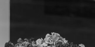 Spiel Österreich Türkei Übertragung: Wo Und Wie Live Sehen?