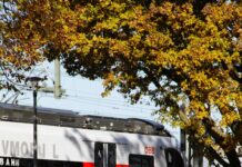 Teilnehmer Österreichische Fußballnationalmannschaft Tabelle: Wer Führt?