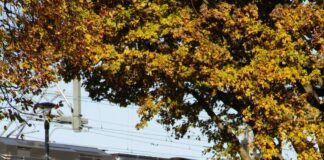 Teilnehmer Österreichische Fußballnationalmannschaft Tabelle: Wer Führt?