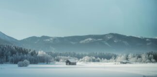 Elisabeth Von Österreich-Ungarn: Faszinierende Geschichte Entdecken