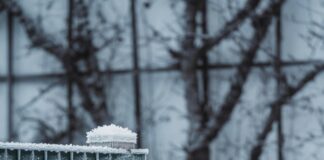 Österreich Türkei: Faszinierendes Österreichisches Fernsehen Entdecken