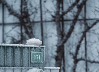 Karte Von Österreich Mit Bundesländern: Faszinierende Fakten Entdecken