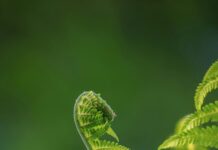 Deutschland Österreich Frauen Heute: Warum Ihre Rolle Jetzt Wichtiger Ist