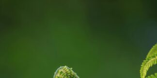 Deutschland Österreich Frauen Heute: Warum Ihre Rolle Jetzt Wichtiger Ist