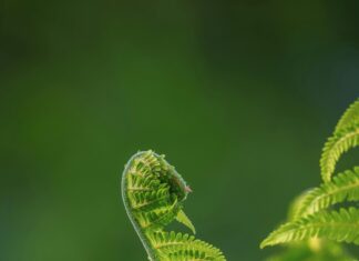 Deutschland Österreich Frauen Heute: Warum Ihre Rolle Jetzt Wichtiger Ist