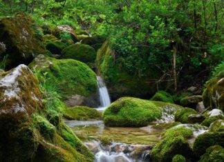 Türkei Österreich Stream Kostenlos: Wie Funktioniert Das Echtzeit-Streaming?