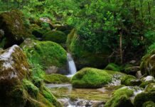 Em Türkei Österreich Stream: Wo Und Wie Sie Live Spannend Verfolgen