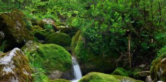 Em Türkei Österreich Stream: Wo Und Wie Sie Live Spannend Verfolgen