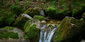Welcher Österreichischer Sender Überträgt Österreich Gegen Türkei? Entdecke Es!