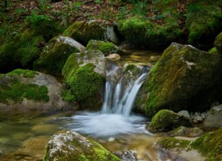 Servus TV Österreich Stream: Wie Funktioniert Der Livezugang Einfach?