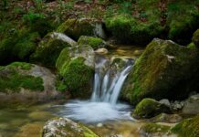 Österreich Türkei Live Stream: Wie Und Wo Du Spannend Verfolgst?
