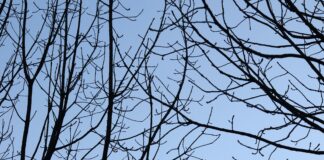 Brutto Netto Österreich Rechner: Wie Viel Bleibt Ihnen Wirklich?