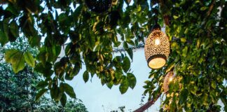 Hotel Mit Pool Österreich: Entdecken Sie Die Verborgenen Luxusparadiese