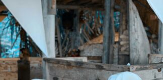 Maut Österreich Online Kaufen: So Einfach Funktioniert Es Heute!