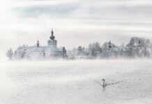 Wo Wird Österreich Gegen Türkei Übertragen? Top Orte Entdecken!