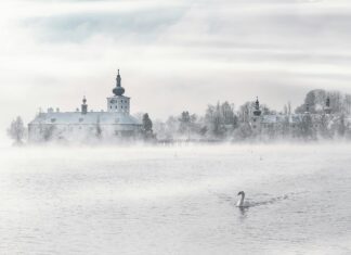 Wo Wird Österreich Gegen Türkei Übertragen? Top Orte Entdecken!