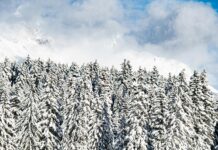 Seefeld In Tirol Österreich: Entdecke Das Verborgene Alpenparadies