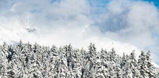 Seefeld In Tirol Österreich: Entdecke Das Verborgene Alpenparadies