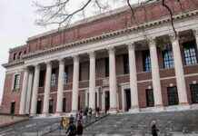 Trumps Angriff auf Harvard: Schock und Chaos in der Hochschulwelt trumps-angriff-auf-harvard-schock-und-chaos-in-der-hochschulwelt