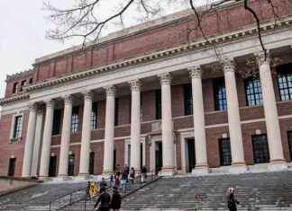 Trumps Angriff auf Harvard: Schock und Chaos in der Hochschulwelt trumps-angriff-auf-harvard-schock-und-chaos-in-der-hochschulwelt