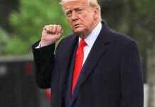 US-Präsident Trump droht Europa mit 50 % Strafzöllen us-prsident-trump-droht-europa-mit-50-strafzllen