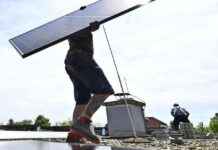 Zukunft der Grünen-Politik: Klimaschutz oder Gießkanne? zukunft-der-grnen-politik-klimaschutz-oder-giekanne